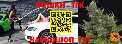 apvp Рузаевка
