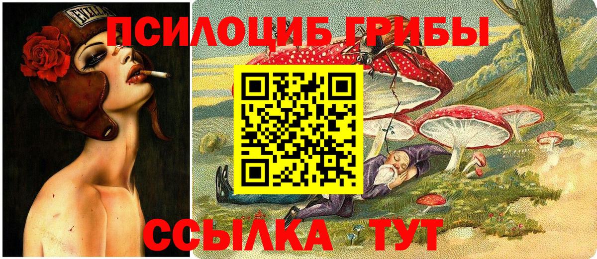 Псилоцибиновые грибы Magic Shrooms  Вход с VPN  Новотроицк 