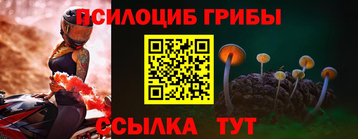 Галлюциногенные грибы Psilocybe Новотроицк