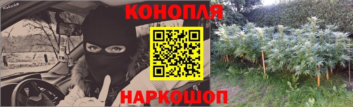 Конопля планчик Новотроицк